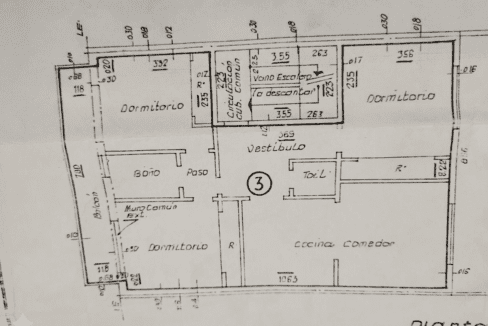 Gemini_Generated_Image_luwgholuwgholuwg (1)